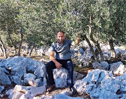 Agronomist Restores 400-Year-Old Olive Grove to Better Withstand Droughts in Croatia